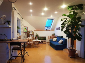 Apartmán Sluníčko Ohrazenice